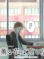 声浪研究所 音乐竞演综艺在线观看